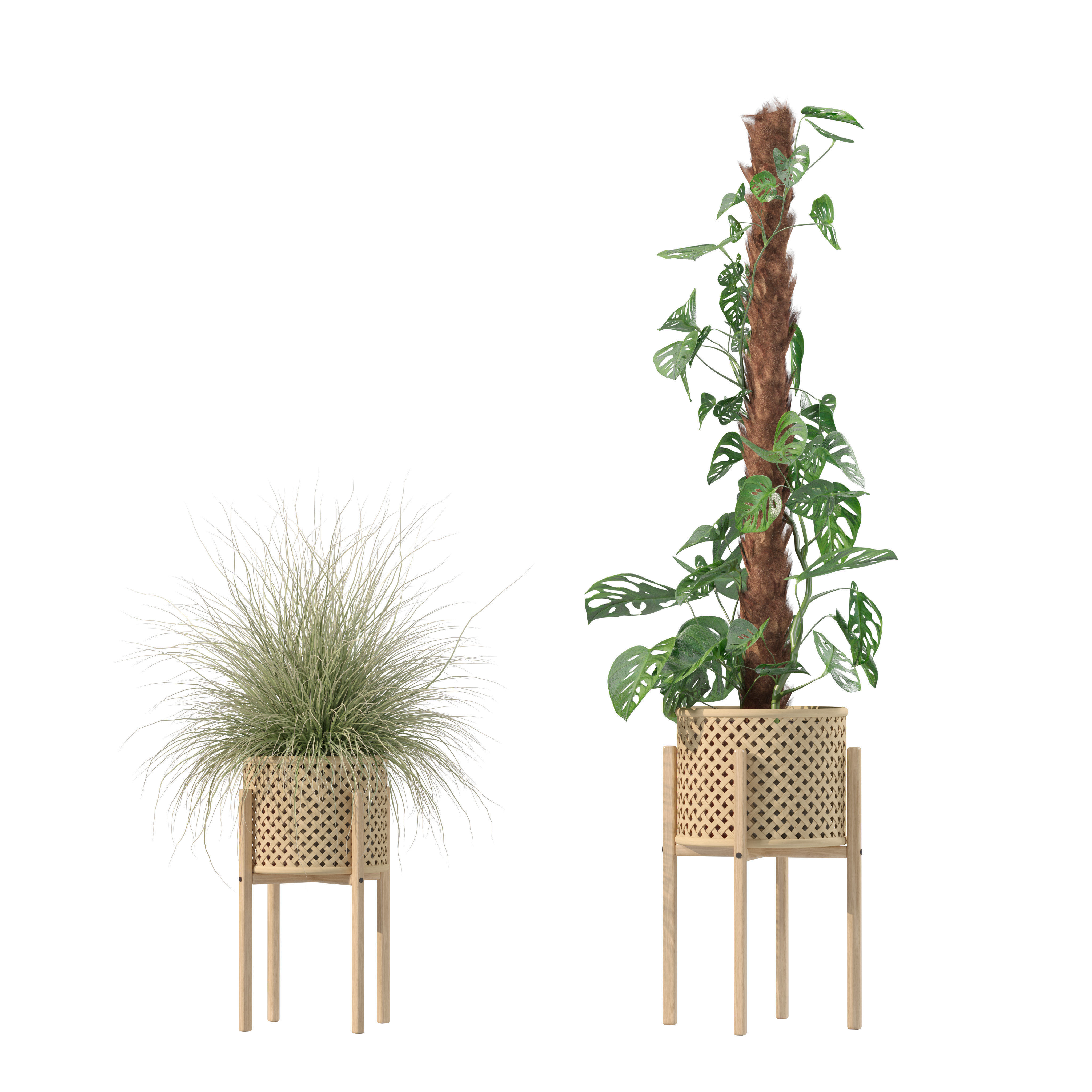 20 Photorealistic Flowers for Interiors - set 201 202 203 204 3D Model Collection_16