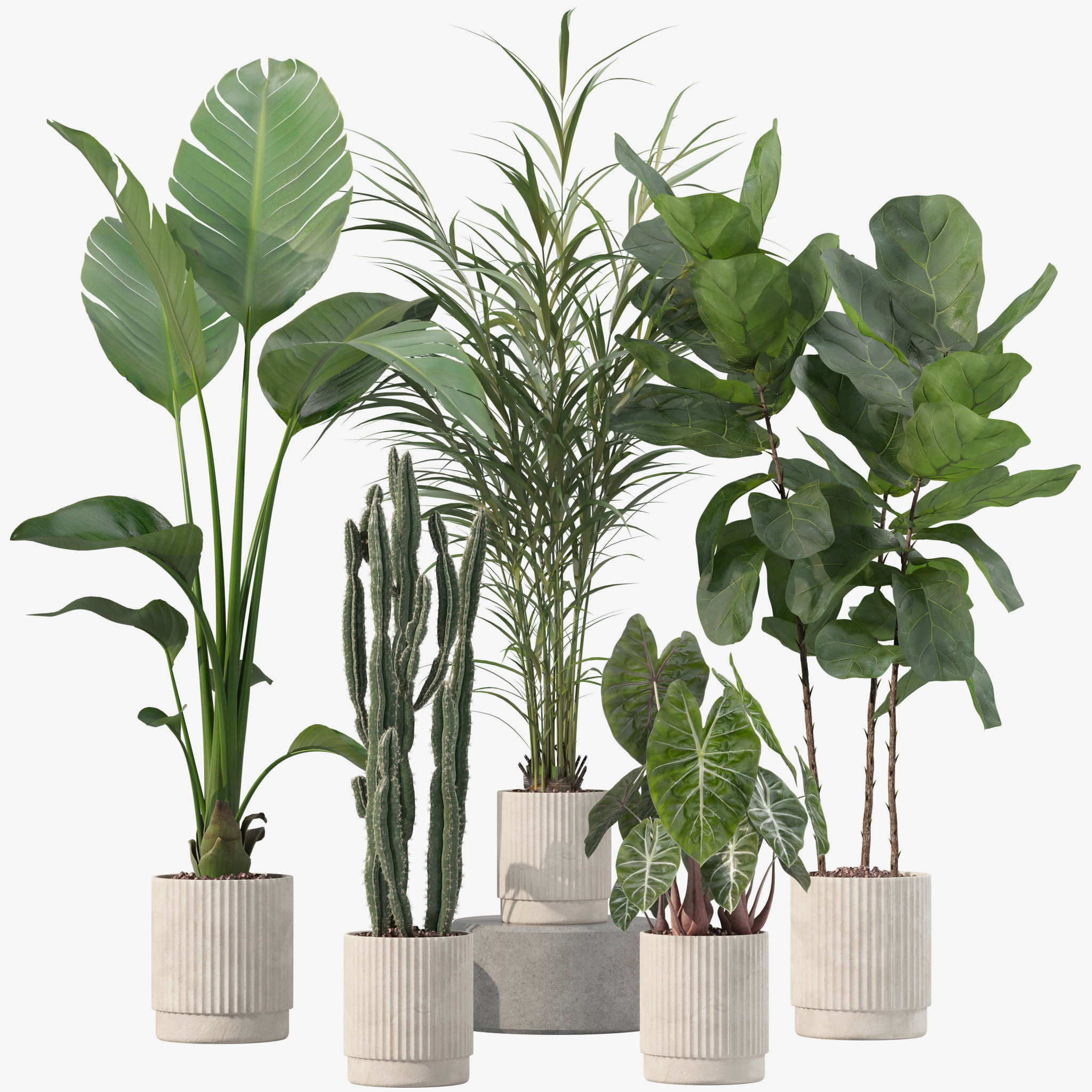 20 Photorealistic Flowers for Interiors - set 201 202 203 204 3D Model Collection_38