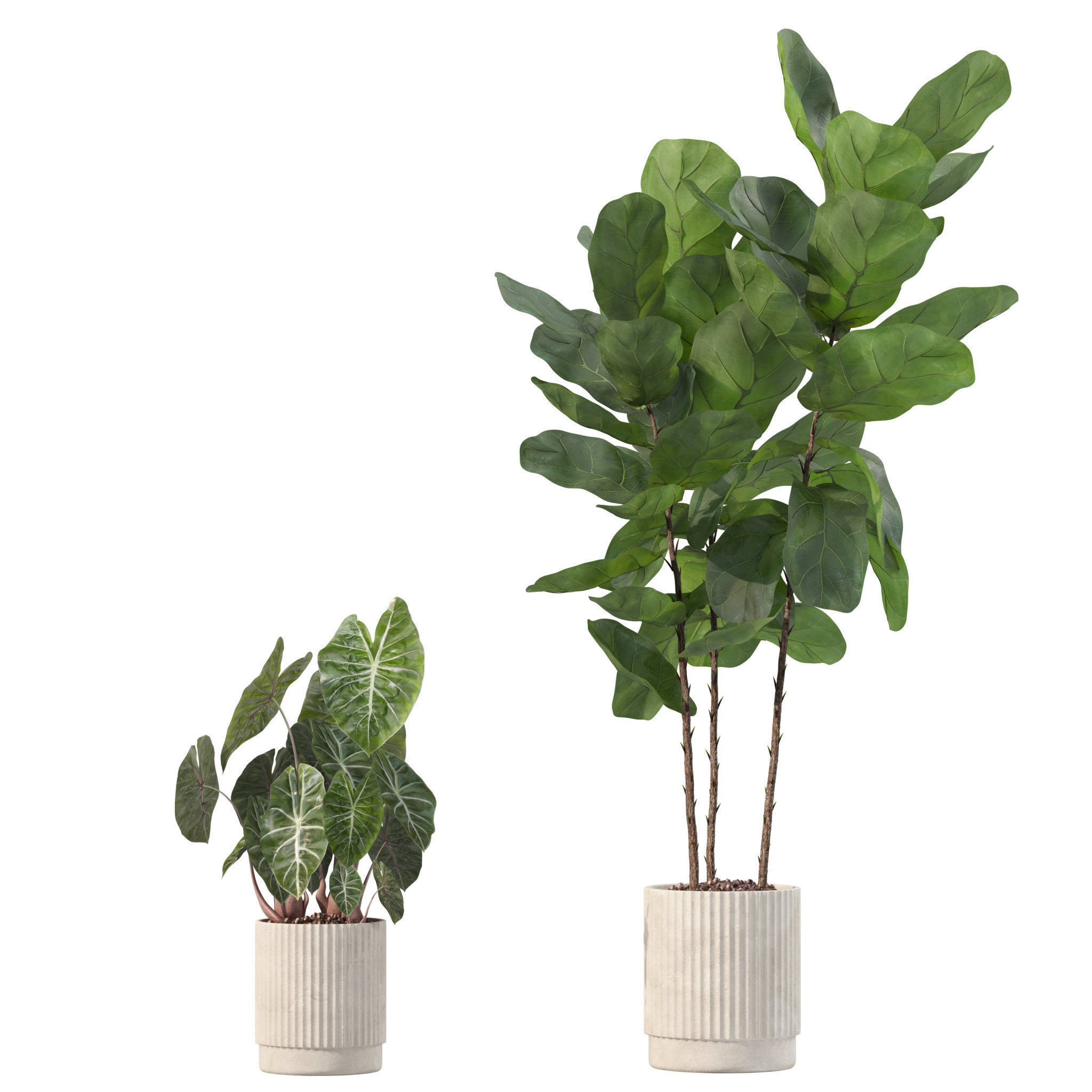 20 Photorealistic Flowers for Interiors - set 201 202 203 204 3D Model Collection_6