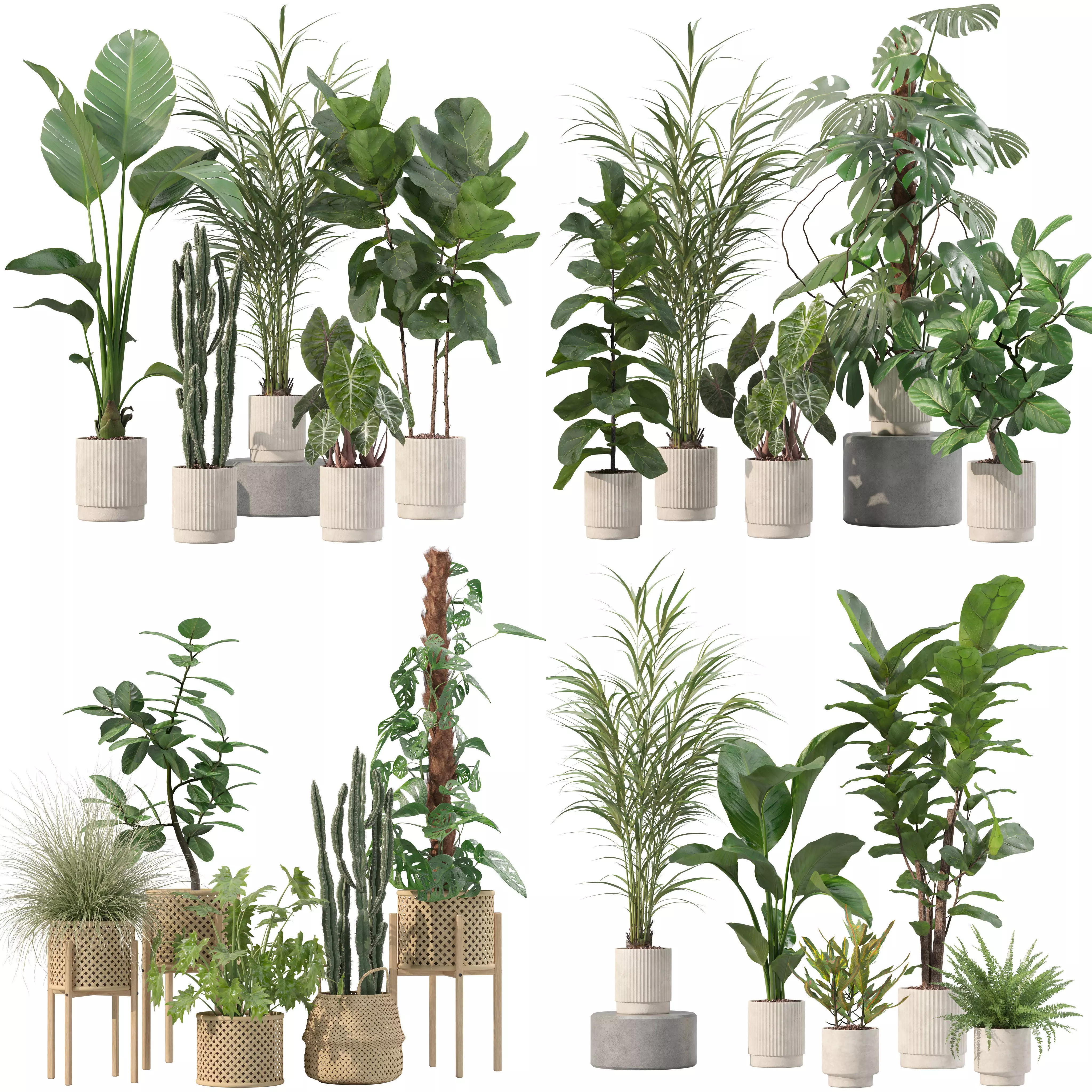 20 Photorealistic Flowers for Interiors - set 201 202 203 204 3D Model Collection_0