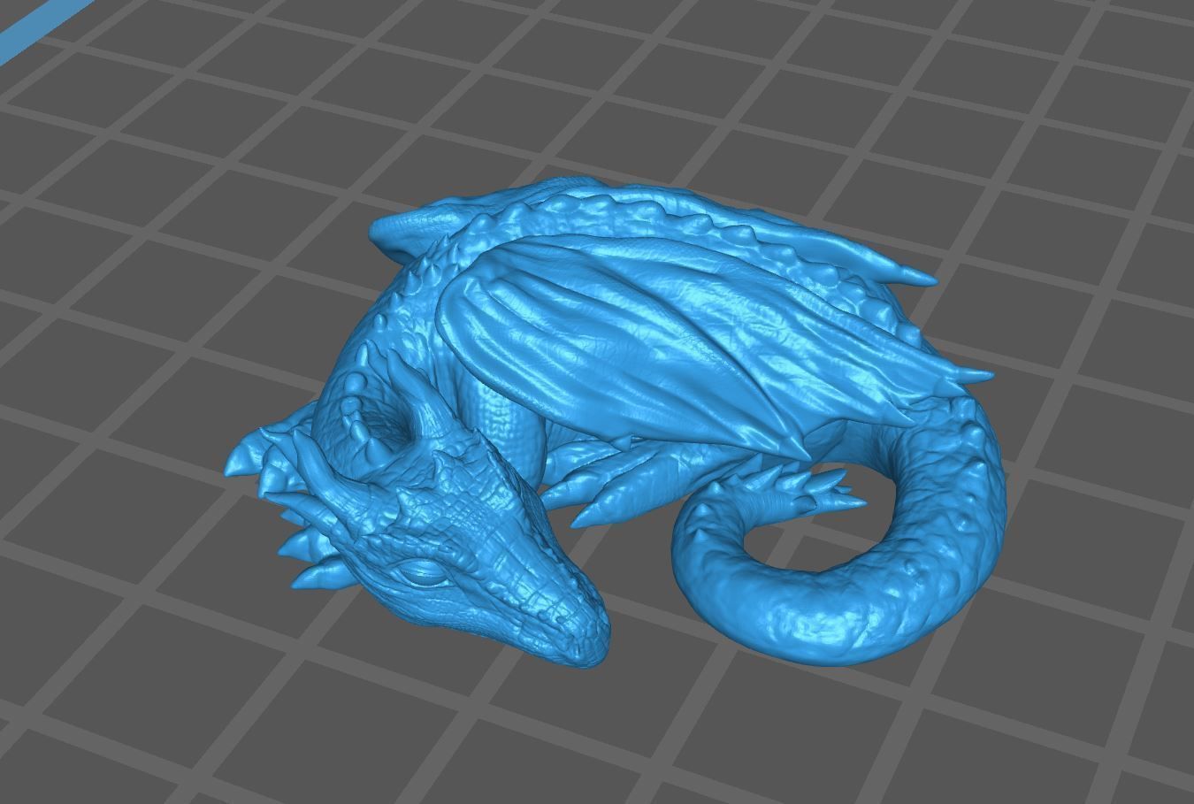 Sleeping Baby Forest Dragon curled up highpoly dnd 3D print model_13