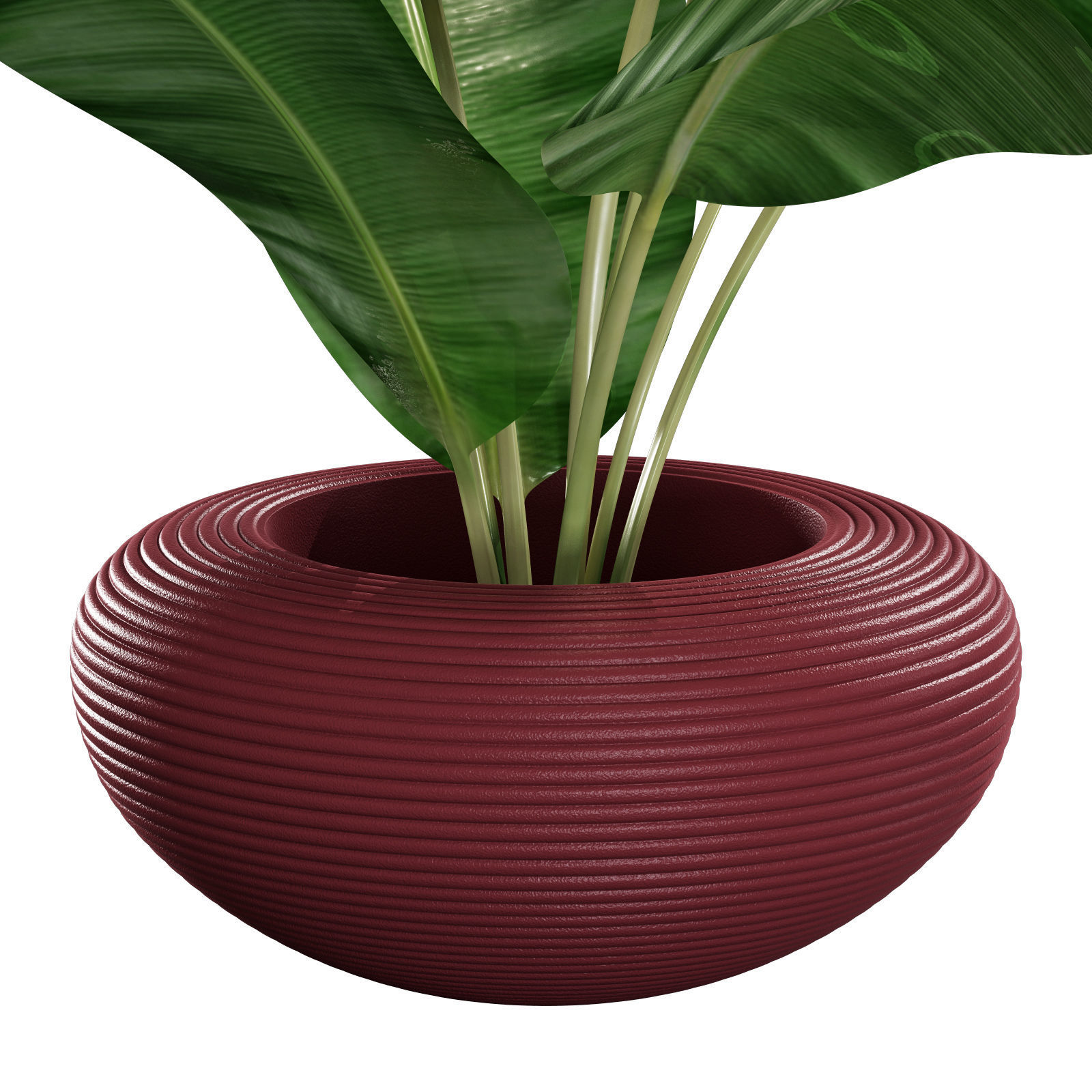 qeeboo nami planter 3D model_1