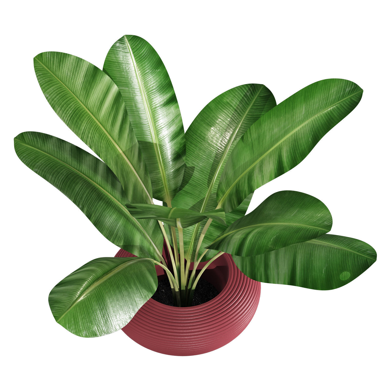 qeeboo nami planter 3D model_2