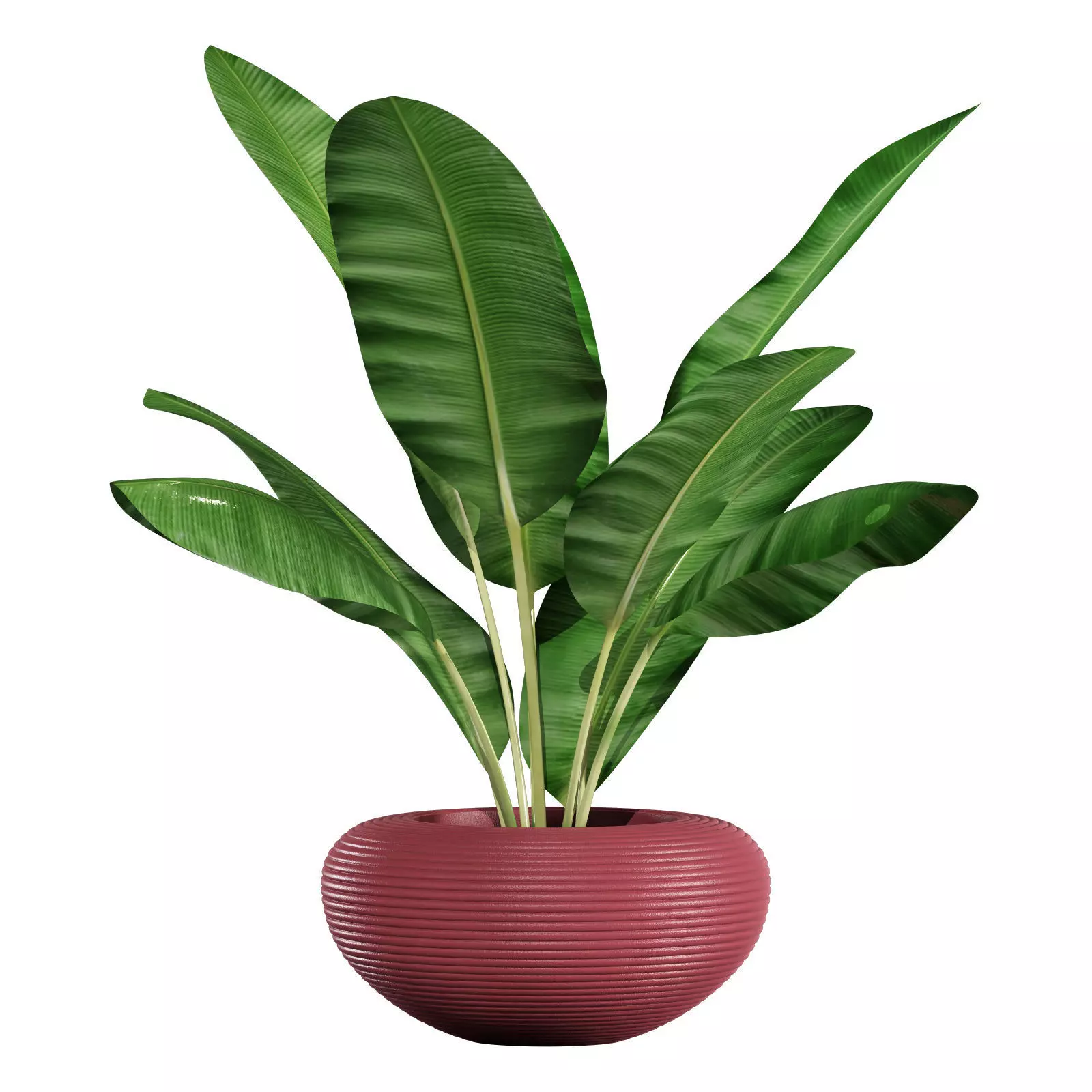 qeeboo nami planter 3D model_0