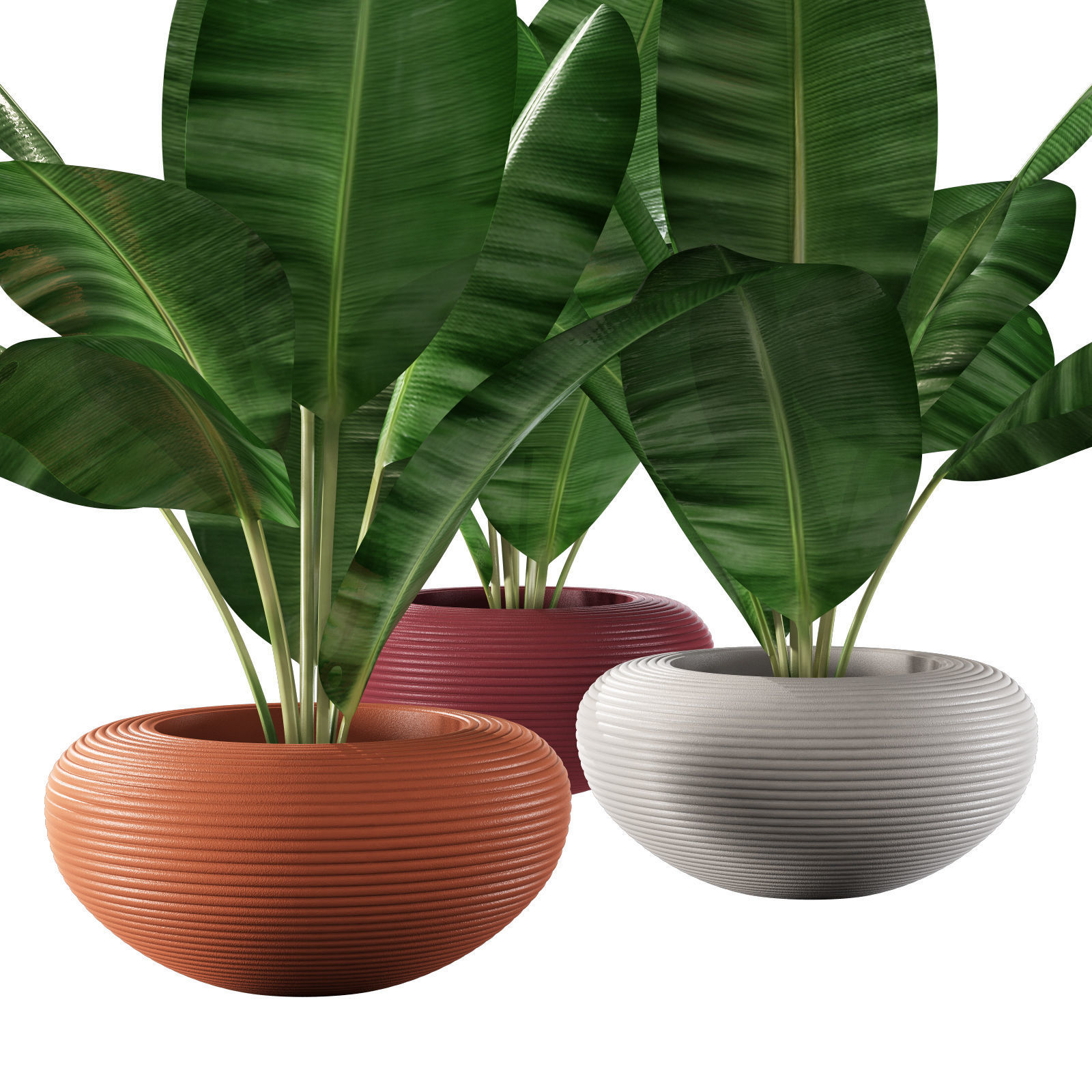 qeeboo nami planter 3D model_3