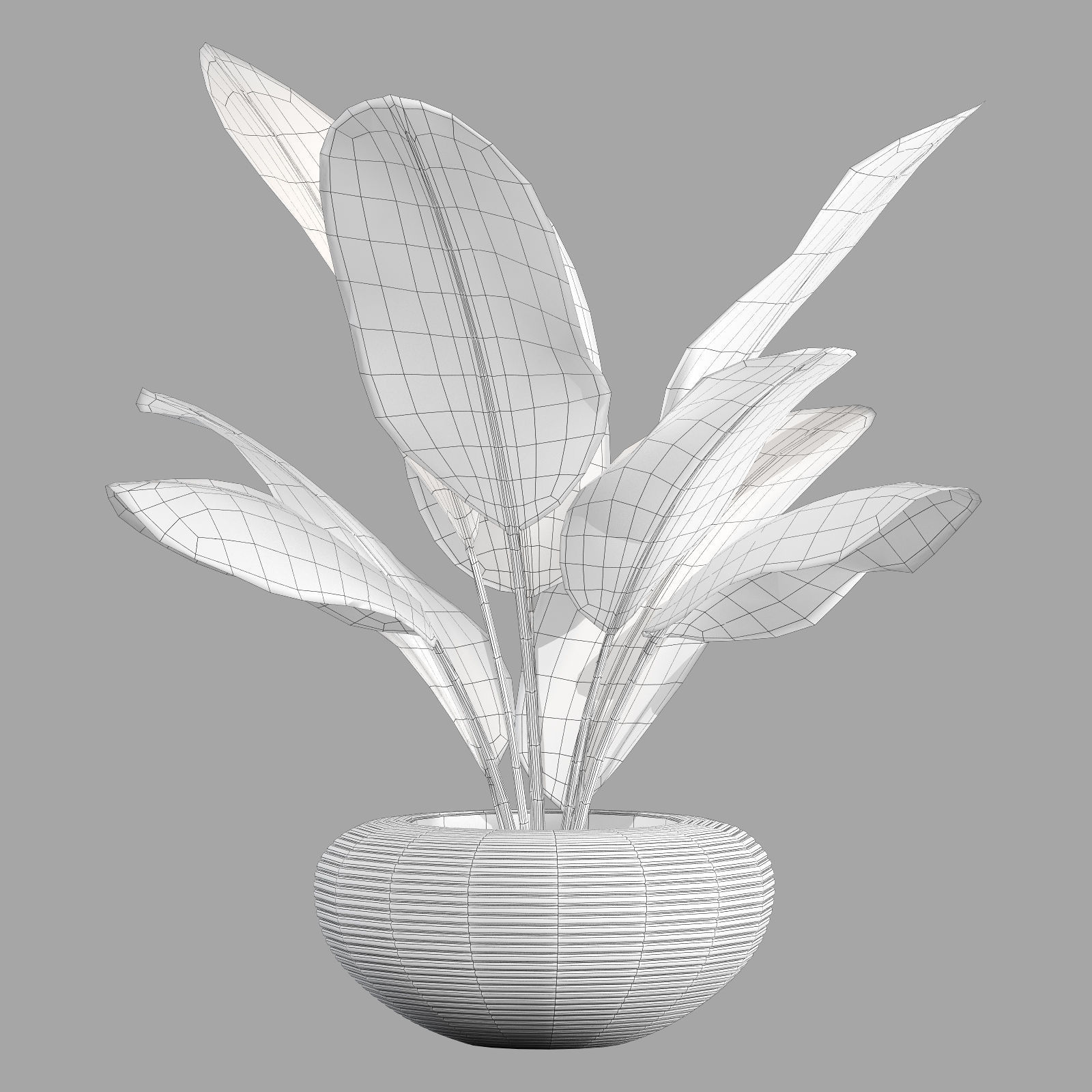 qeeboo nami planter 3D model_4