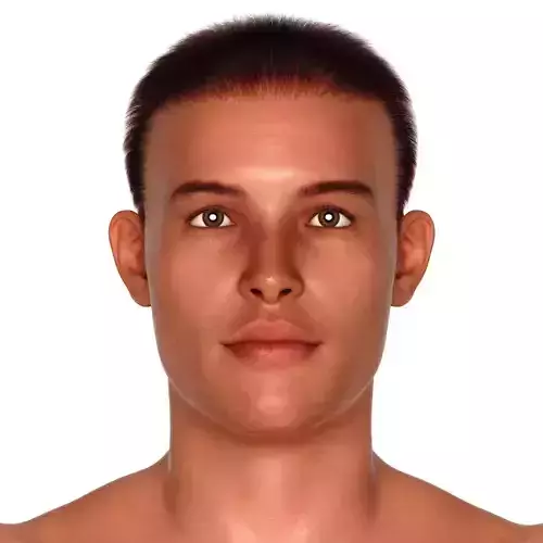 Frank 3D Male     