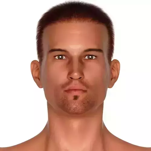 Gavin 3D Male