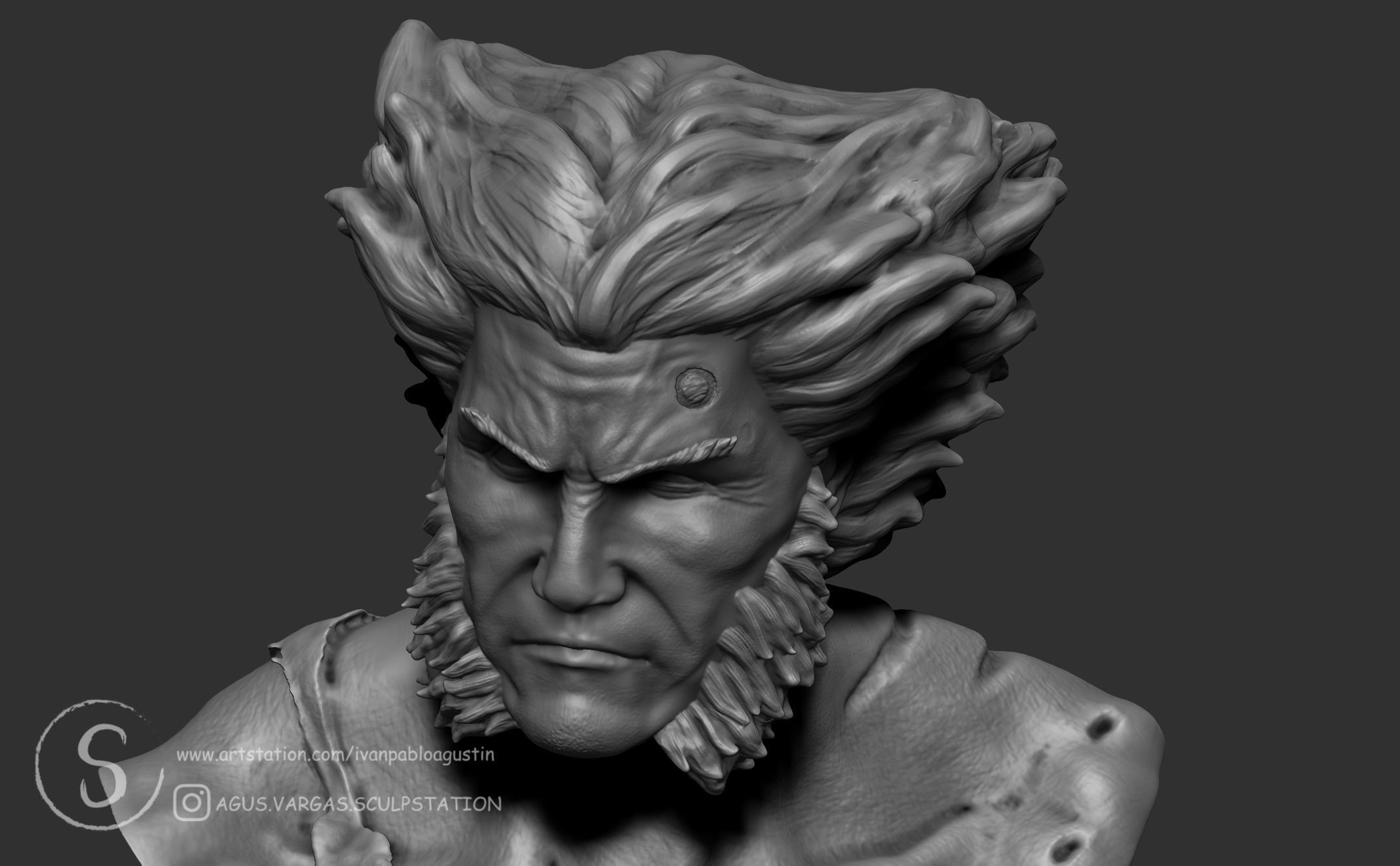 WOLVERINE 3D print model_6