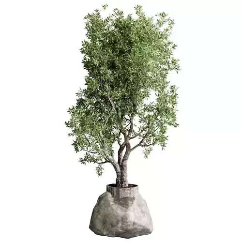Tree in old vase - Outdoor plants 203 3D model