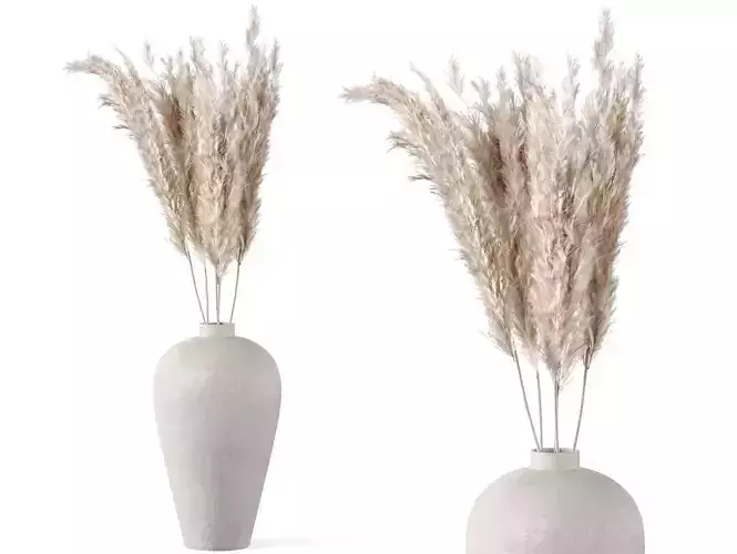 Pampas Decoration with terracotta vase