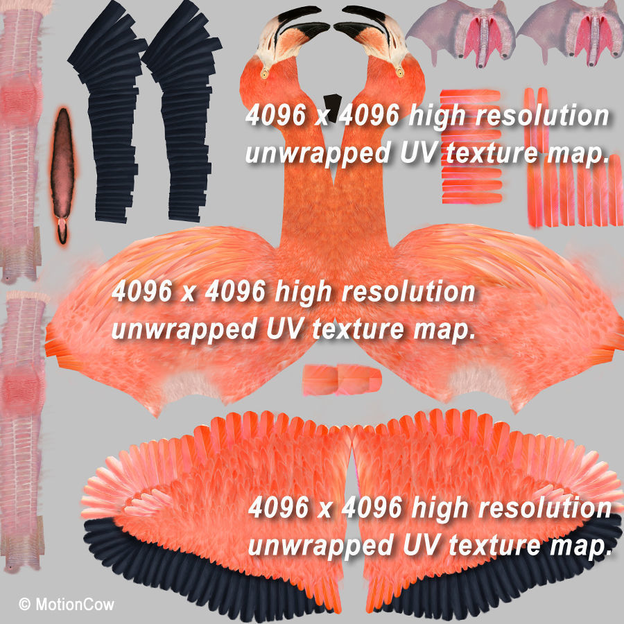 Flamingo - Flight 3D model_19