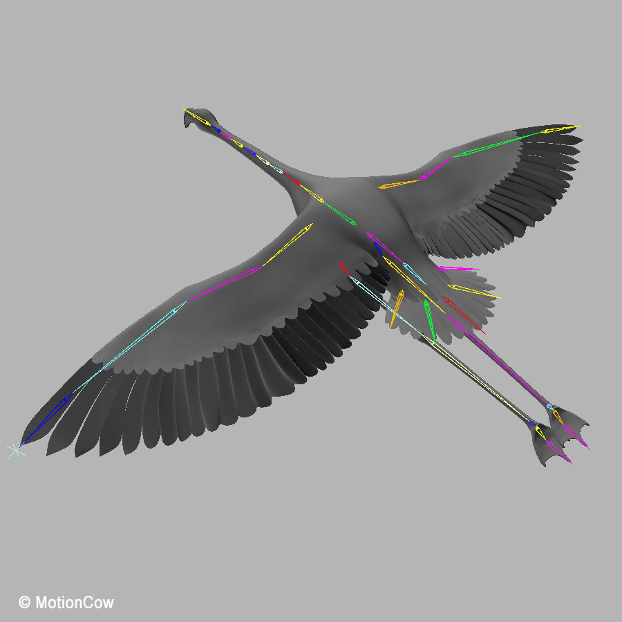 Flamingo - Flight 3D model_18