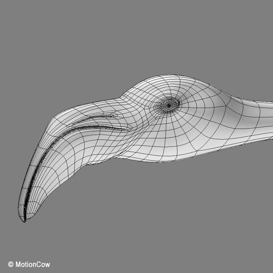 Flamingo - Flight 3D model_17