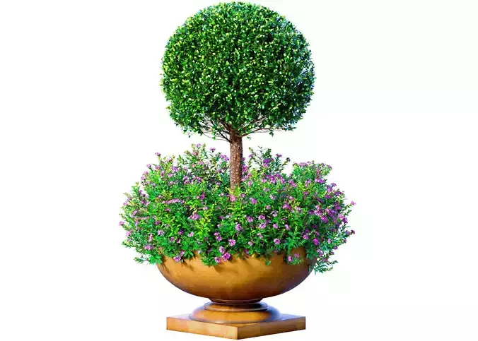 Boxwood with flowerbed garden planter for decoration for Porch 
