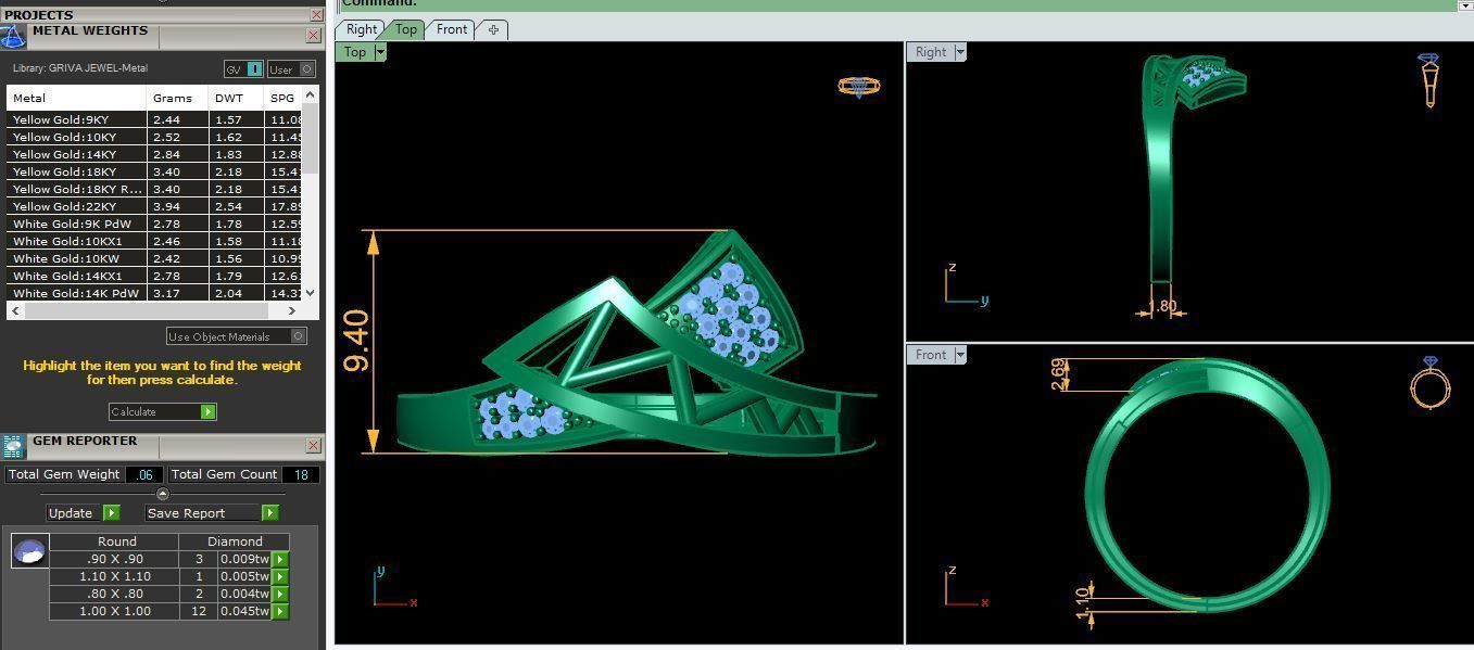 Lower Weight Ring 3d Model and Render 3D print model_9
