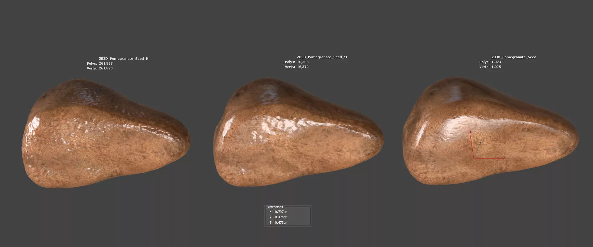 Pomegranate Seed 3D model_5