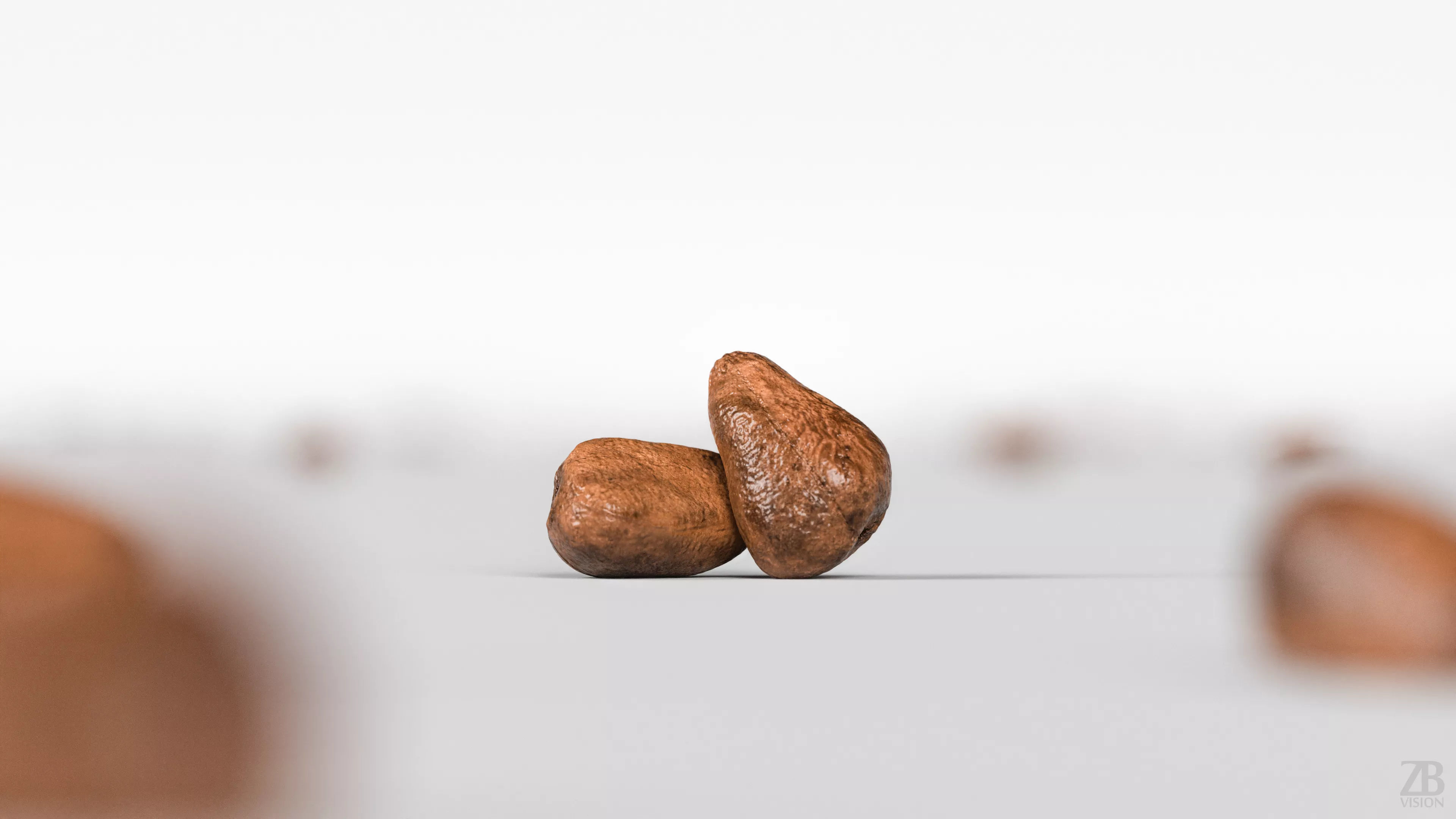 Pomegranate Seed 3D model_1