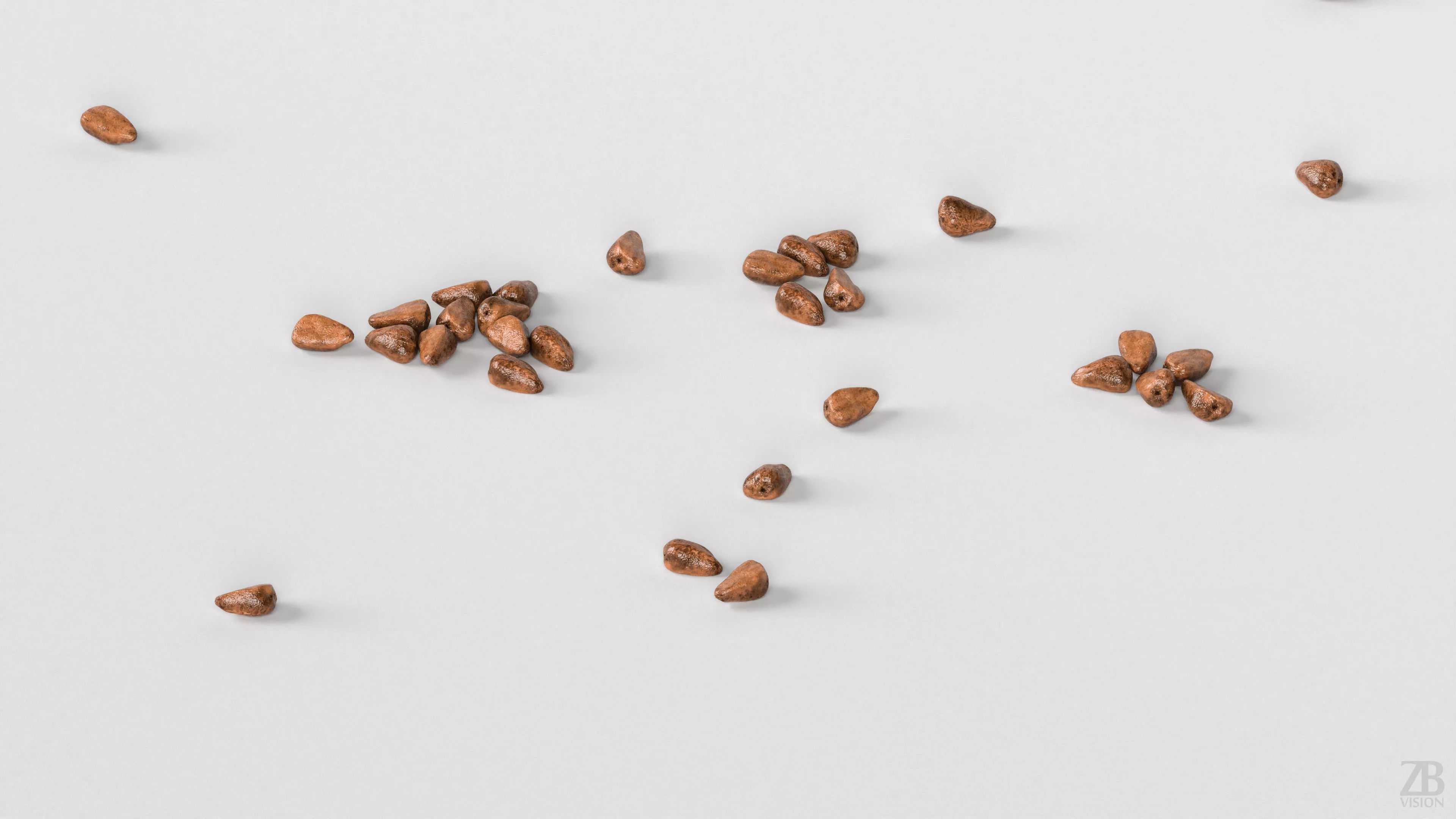 Pomegranate Seed 3D model_2
