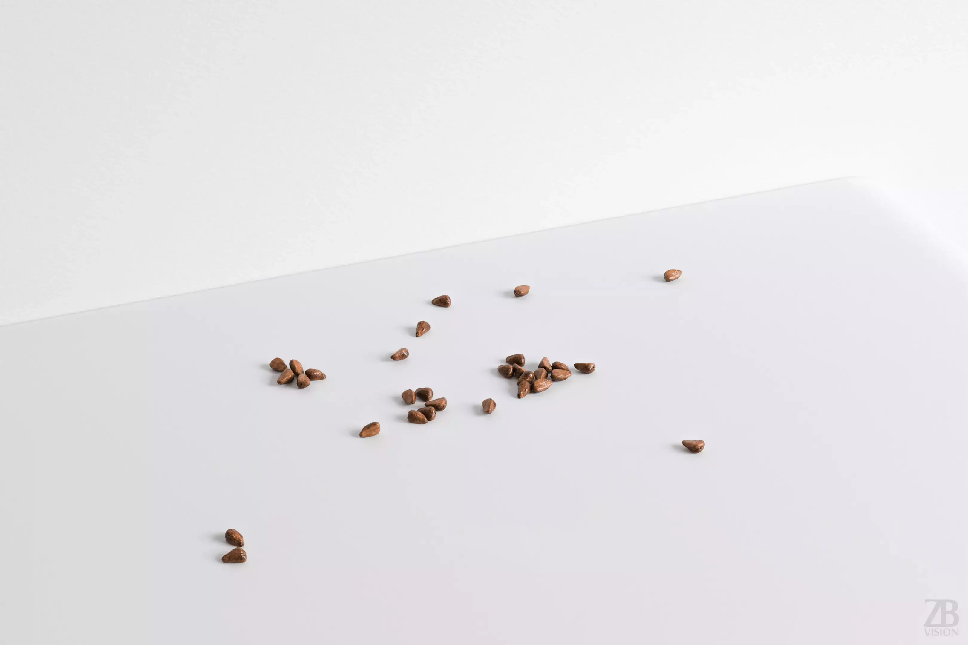 Pomegranate Seed 3D model_0