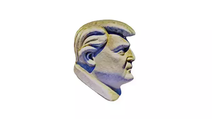 Trump Bust