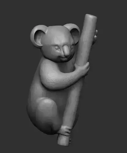 Koala