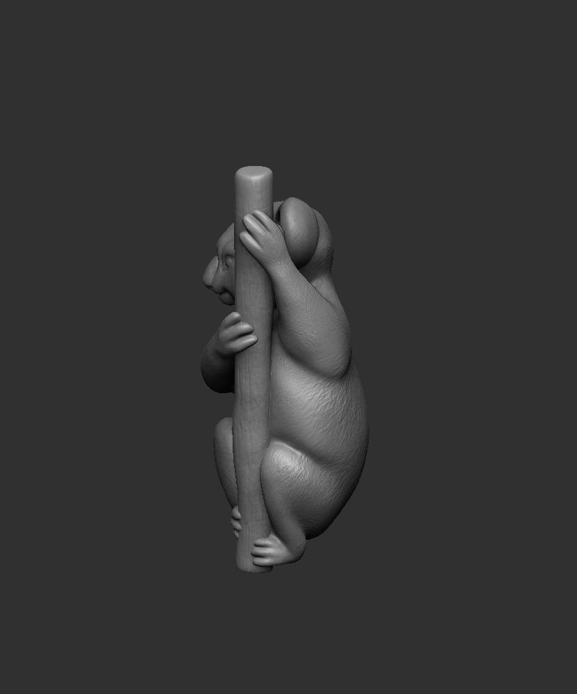 Koala 3D print model_5