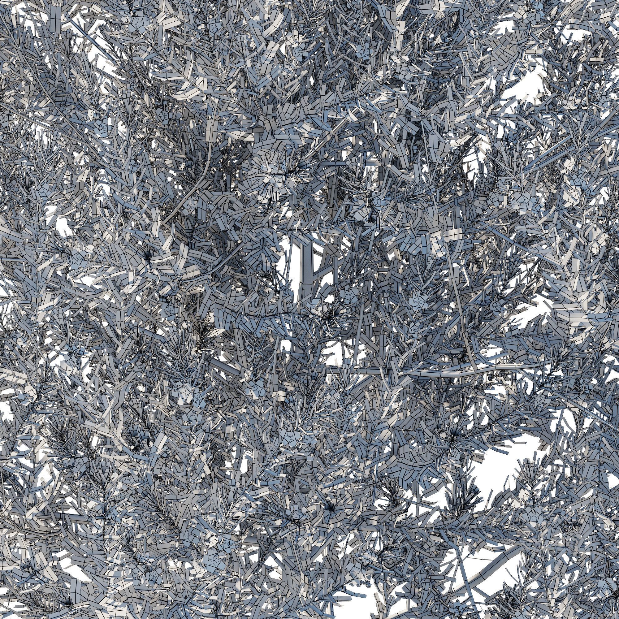 Eremophila Nivea 3D model_7