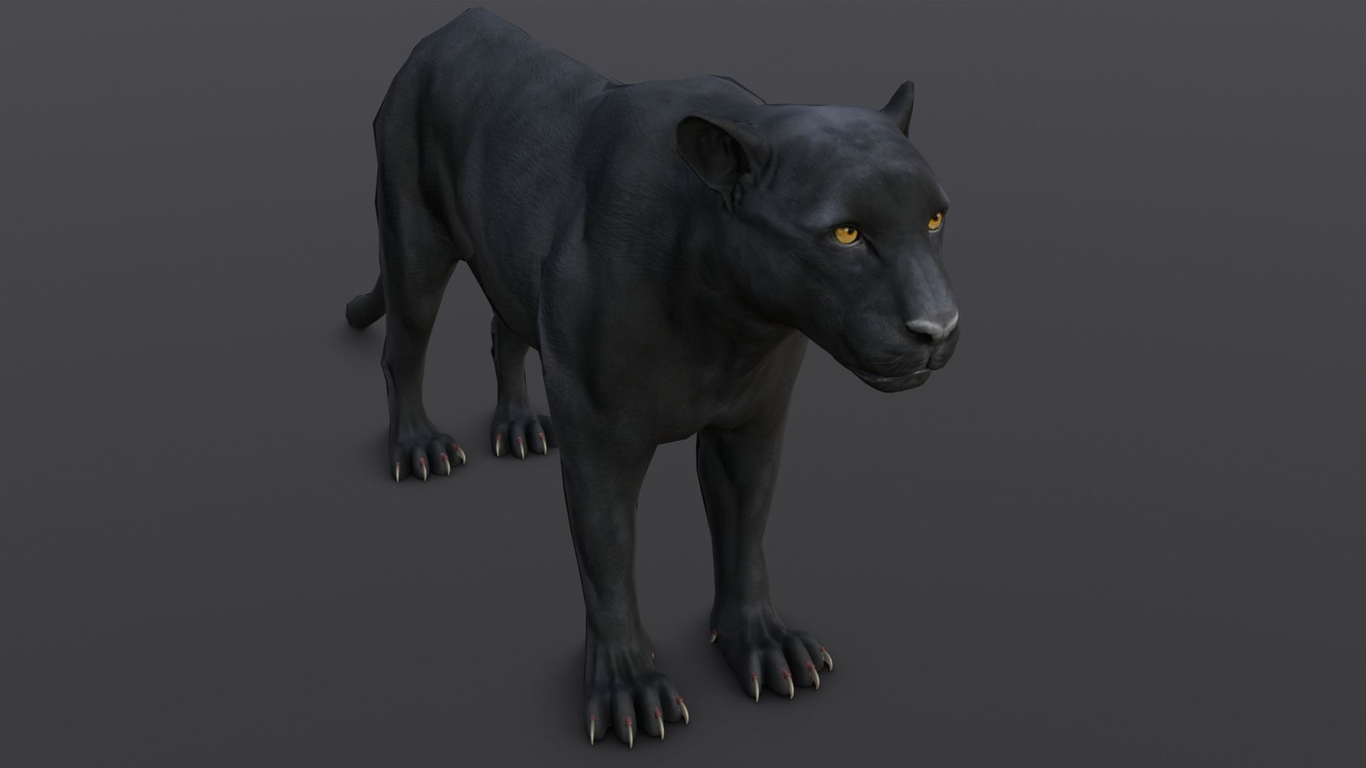 Animated and Rigged Panther 3D Model Low-poly 3D model_6