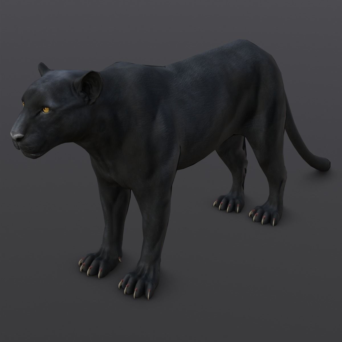 Animated and Rigged Panther 3D Model Low-poly 3D model_7