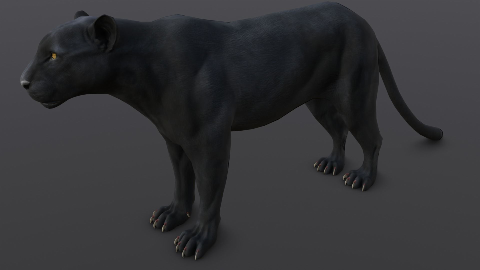 Animated and Rigged Panther 3D Model Low-poly 3D model_18