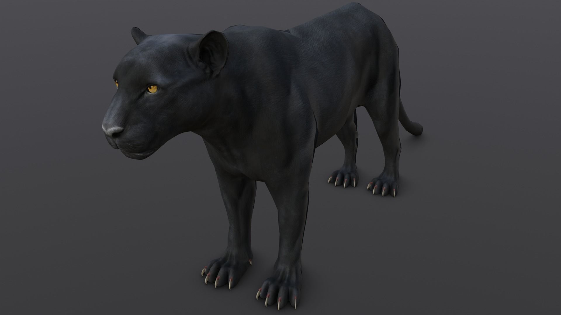 Animated and Rigged Panther 3D Model Low-poly 3D model_2