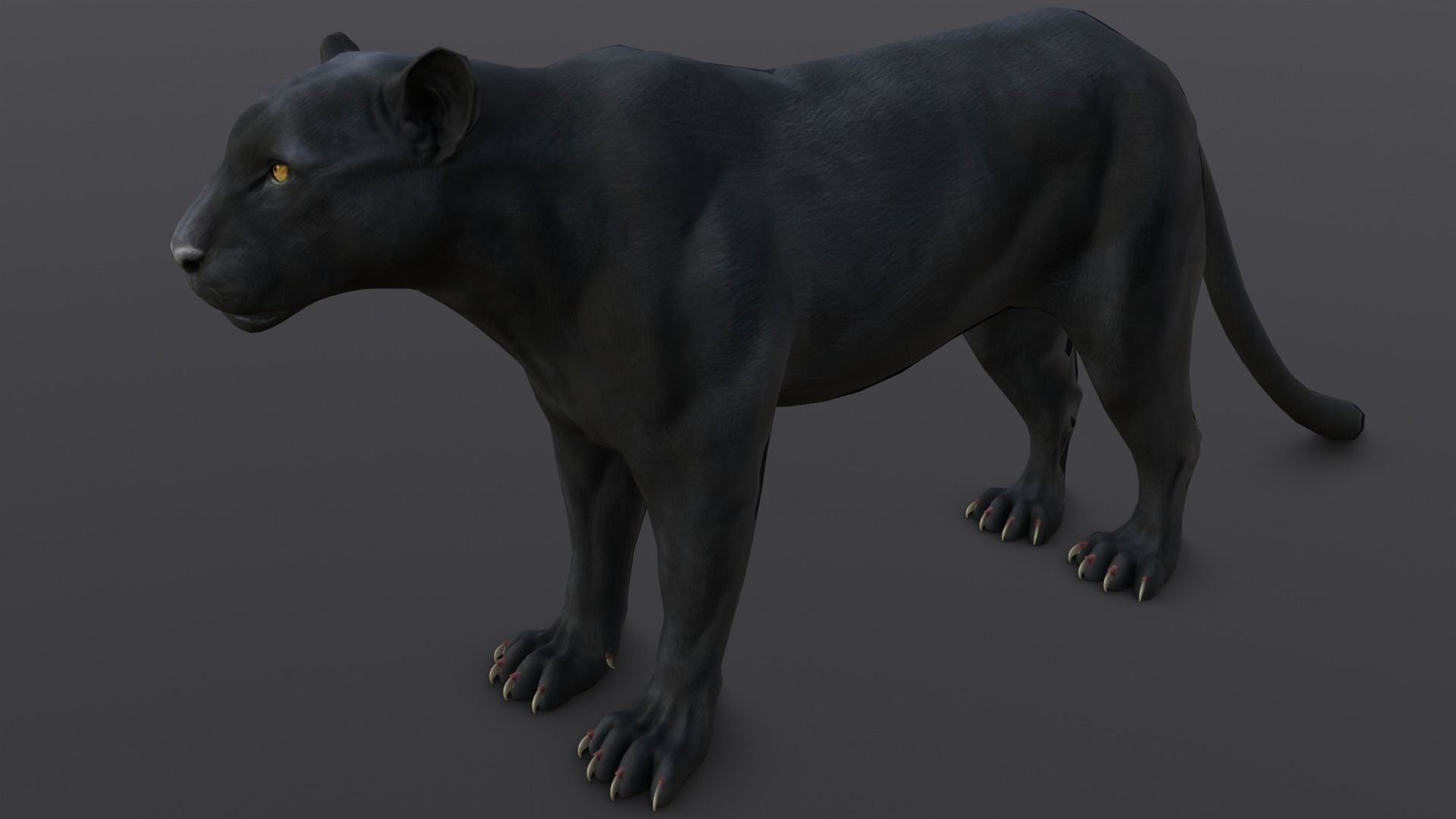 Animated and Rigged Panther 3D Model Low-poly 3D model_1