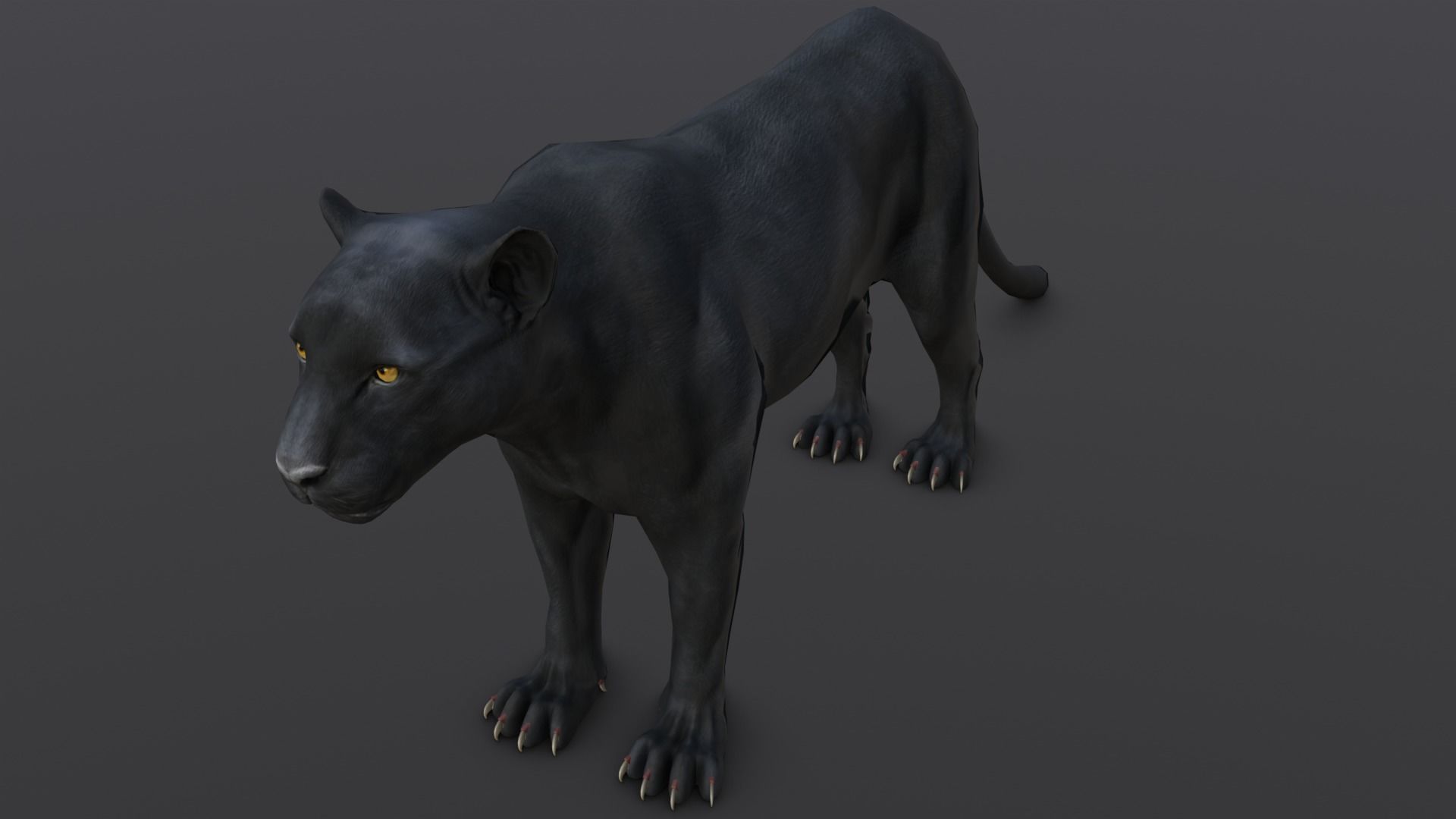 Animated and Rigged Panther 3D Model Low-poly 3D model_13