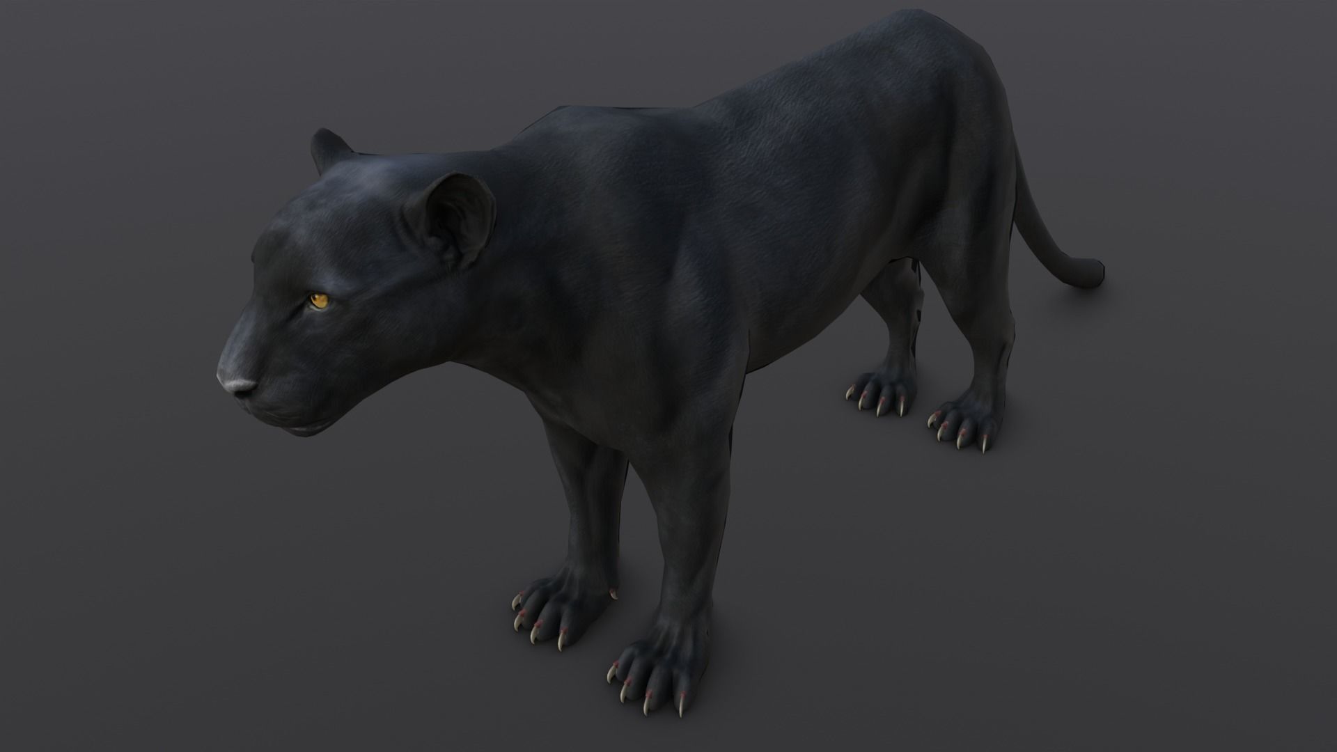 Animated and Rigged Panther 3D Model Low-poly 3D model_5