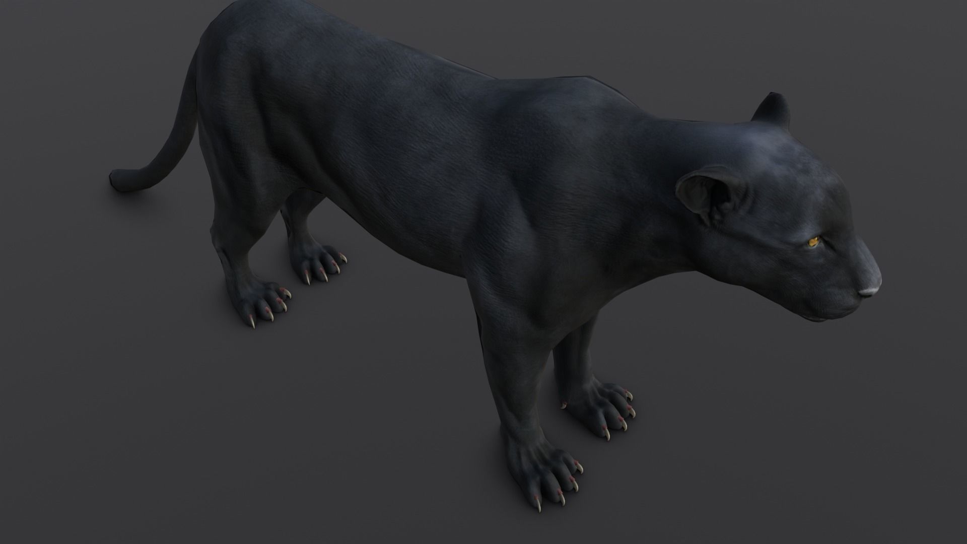 Animated and Rigged Panther 3D Model Low-poly 3D model_15