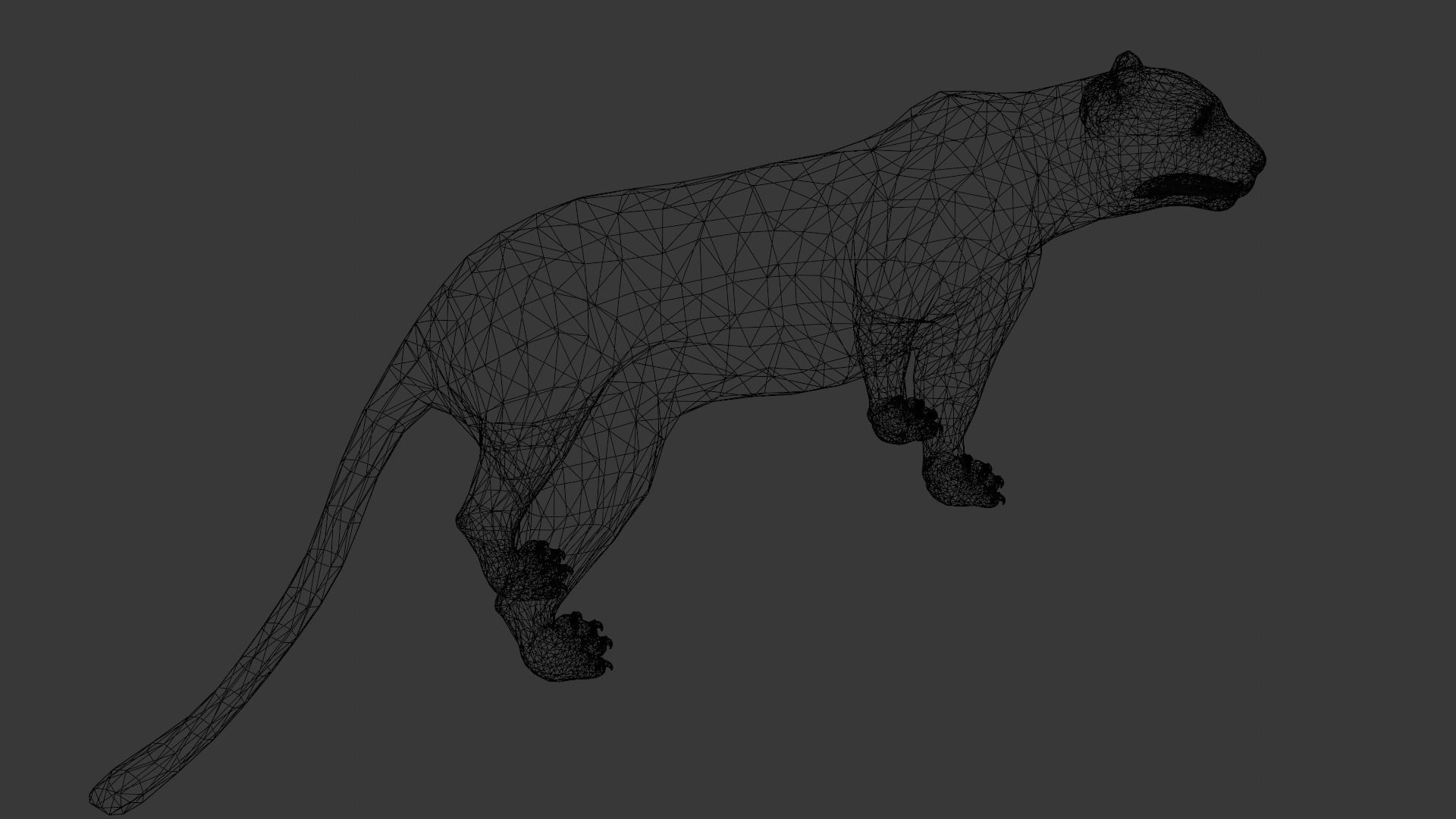 Animated and Rigged Panther 3D Model Low-poly 3D model_9