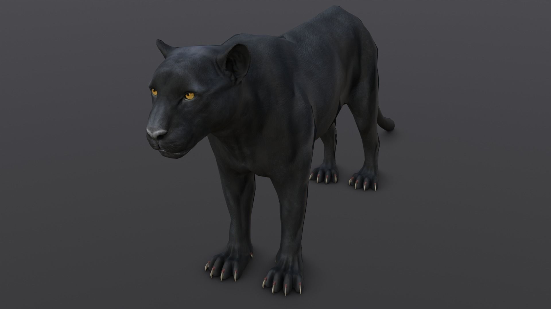 Animated and Rigged Panther 3D Model Low-poly 3D model_3