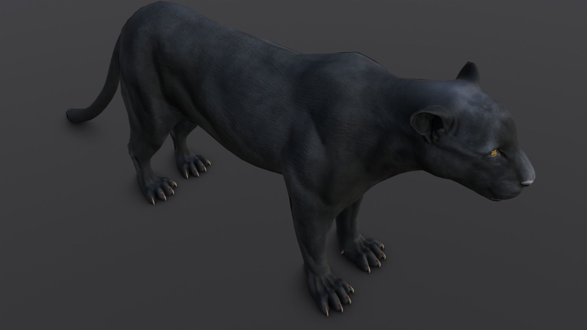 Animated and Rigged Panther 3D Model Low-poly 3D model_16