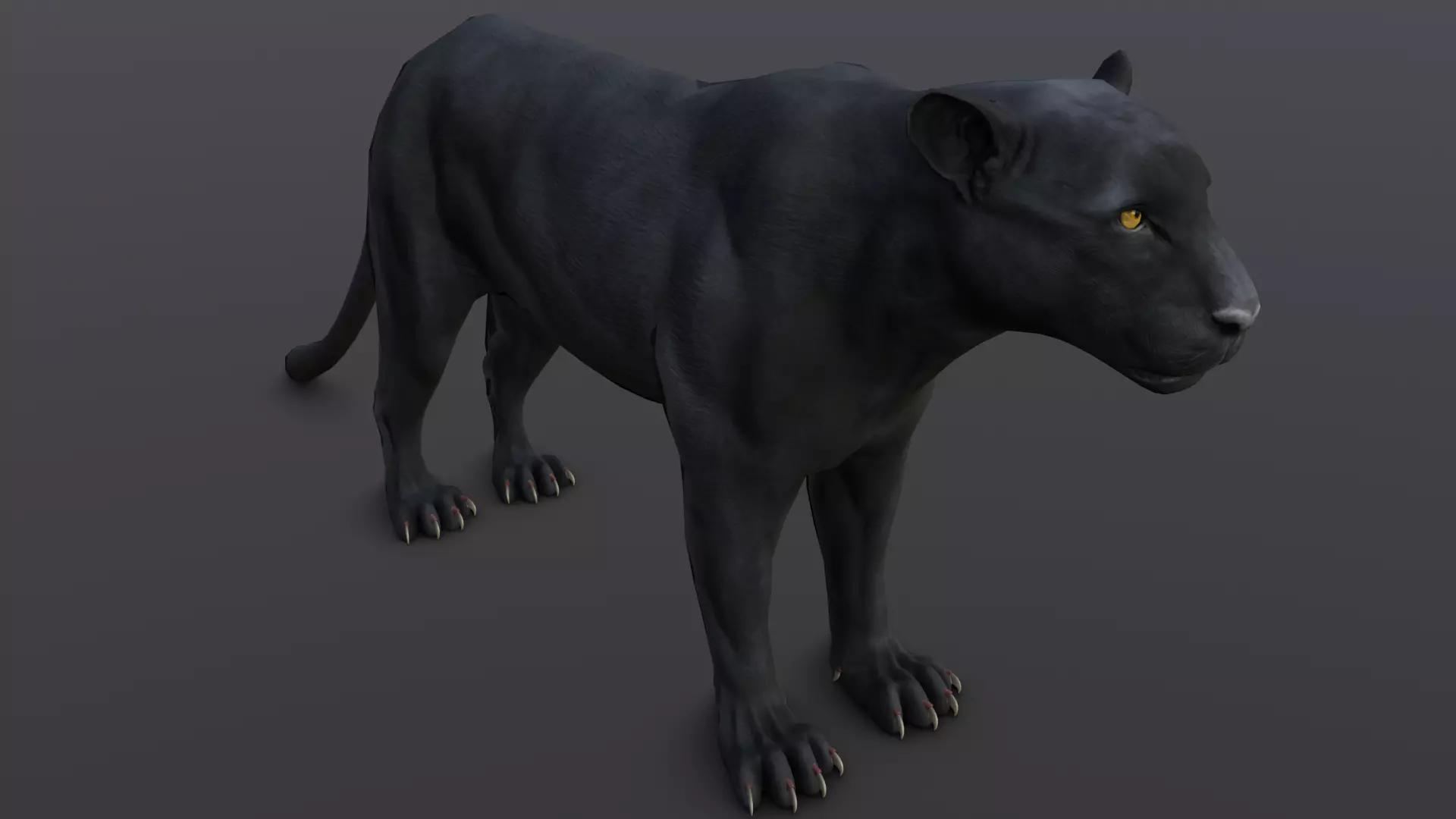 Animated and Rigged Panther 3D Model Low-poly 3D model_0