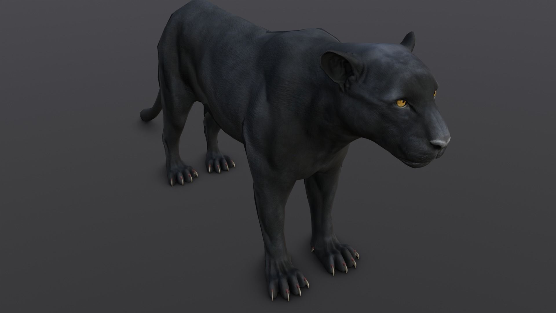 Animated and Rigged Panther 3D Model Low-poly 3D model_14
