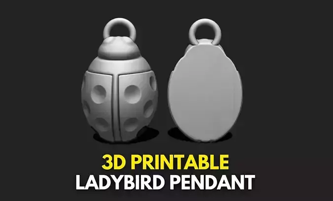 Ladybird Pendant - 3D STL File for 3D Printing 3D print model