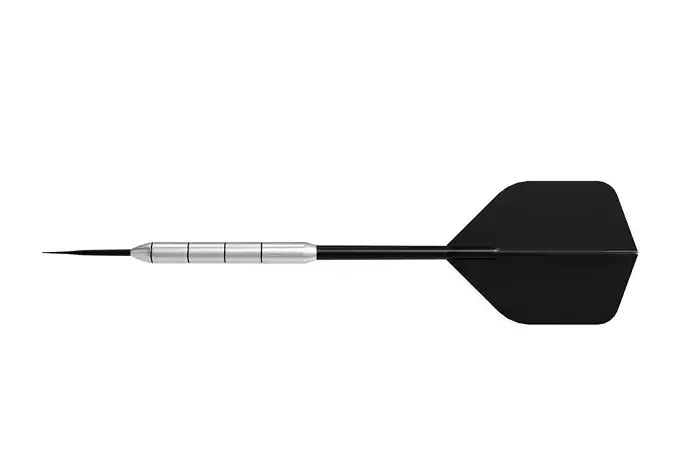 Darts 3D model