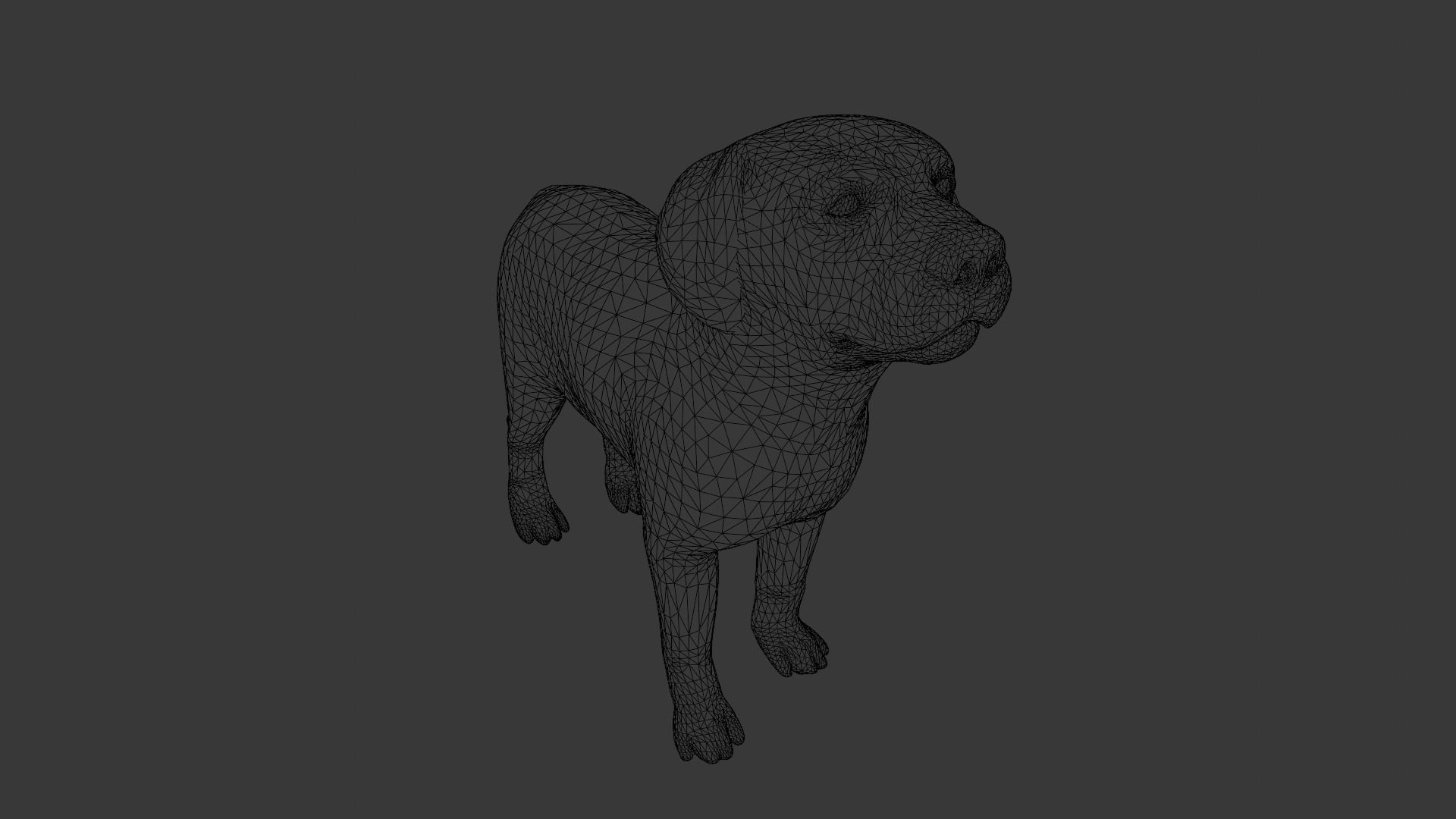 Puppy Animated Rigged Low-poly 3D model_9