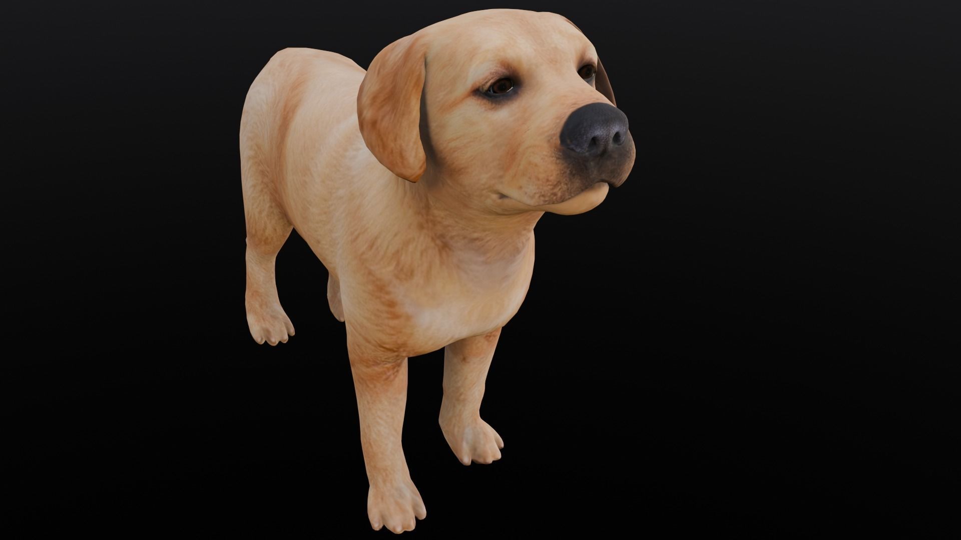 Puppy Animated Rigged Low-poly 3D model_3