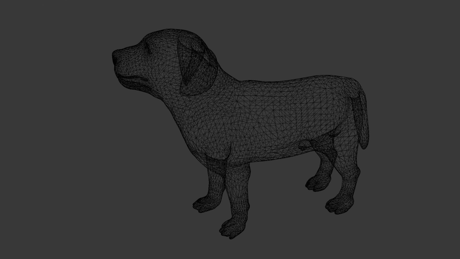 Puppy Animated Rigged Low-poly 3D model_10