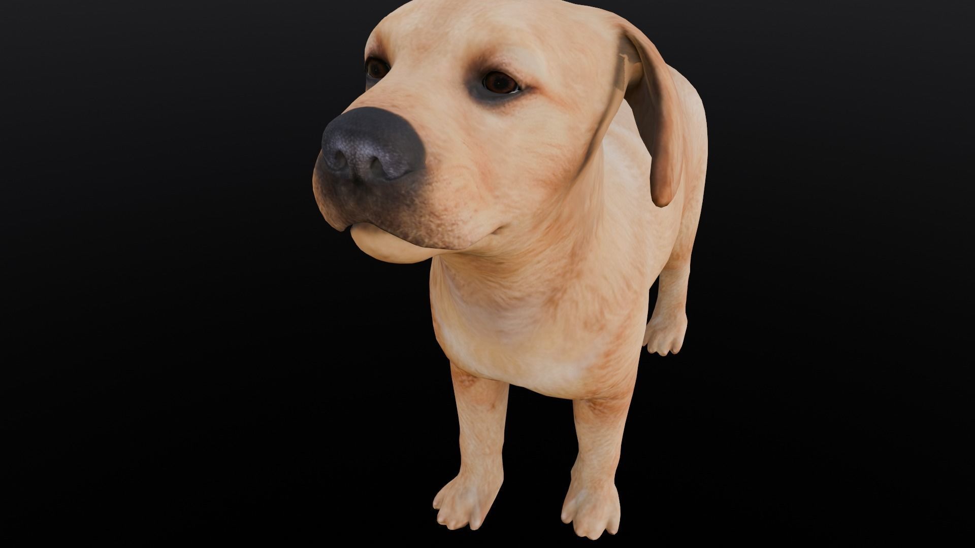 Puppy Animated Rigged Low-poly 3D model_12