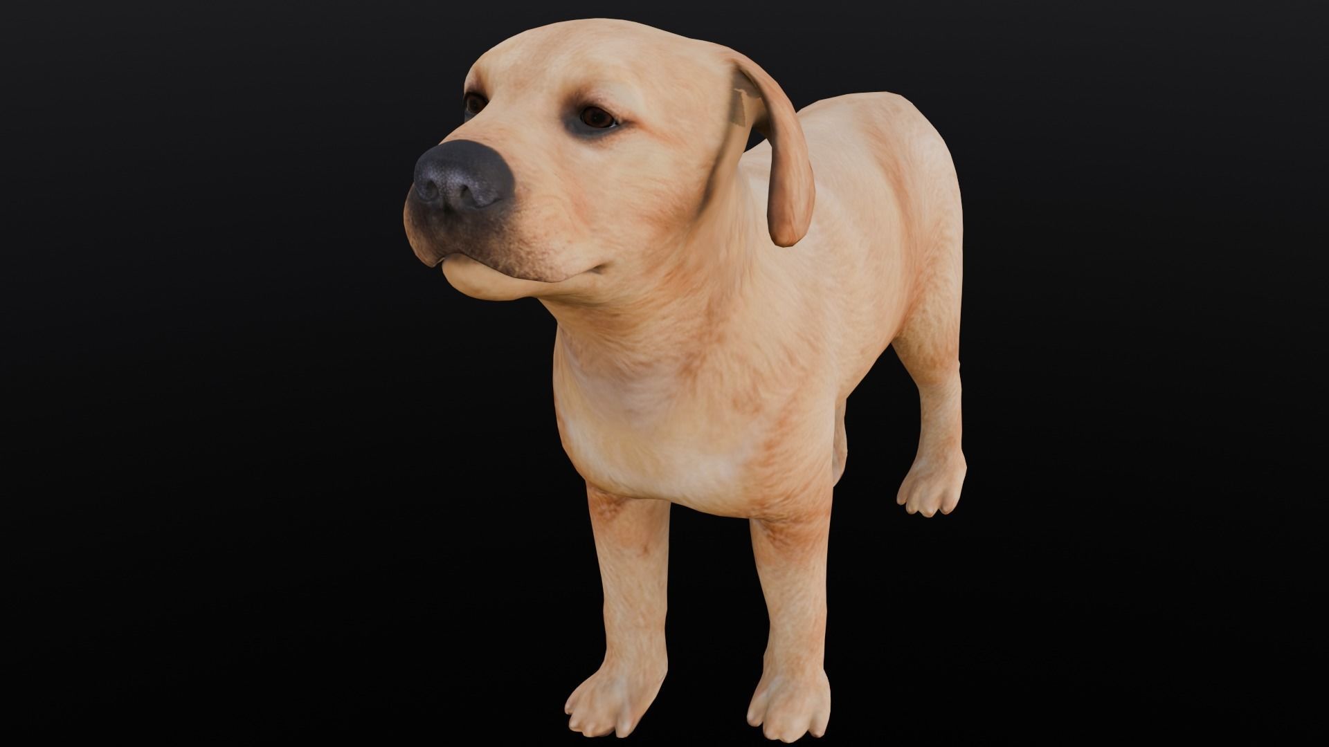Puppy Animated Rigged Low-poly 3D model_18