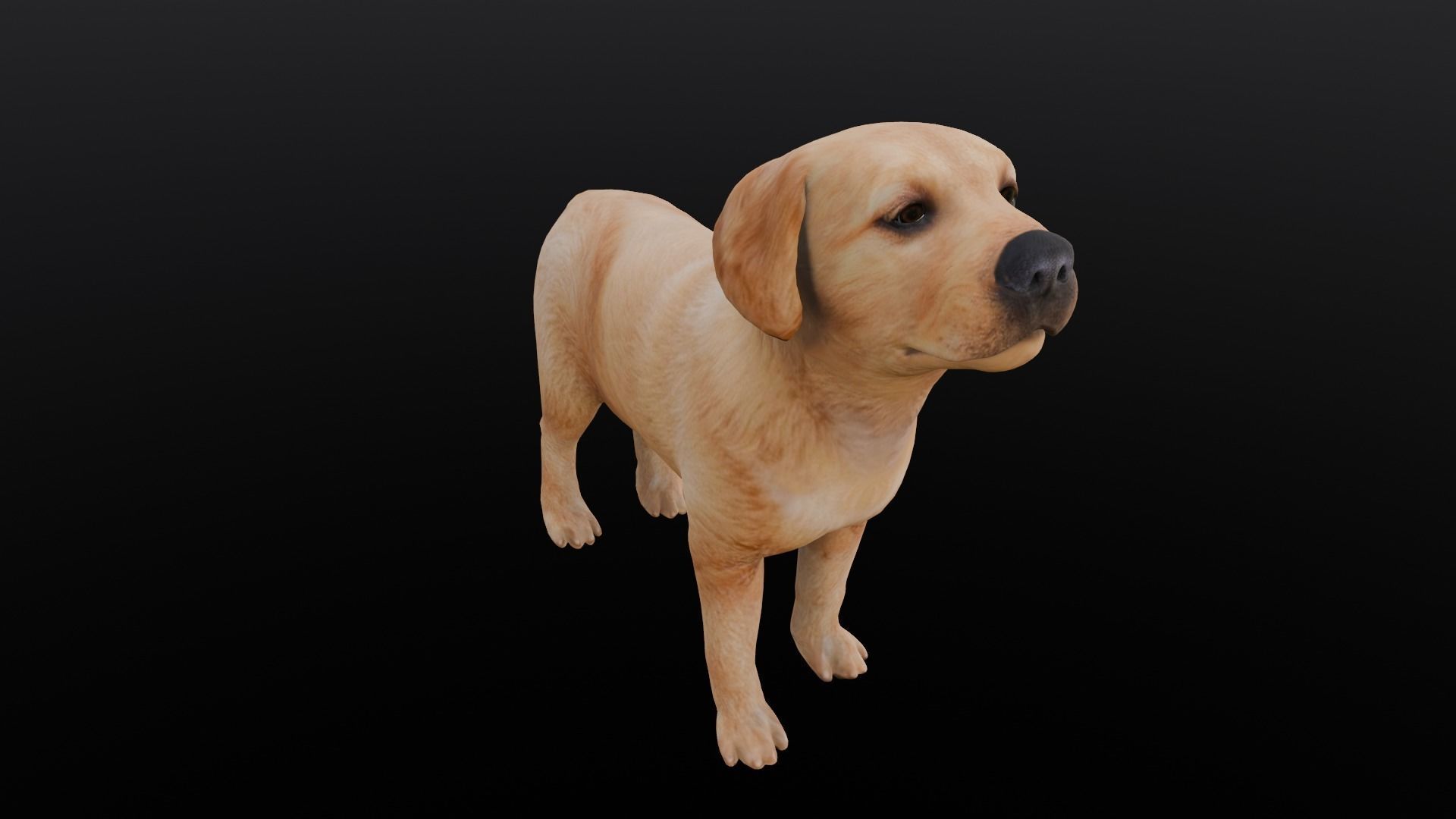 Puppy Animated Rigged Low-poly 3D model_8