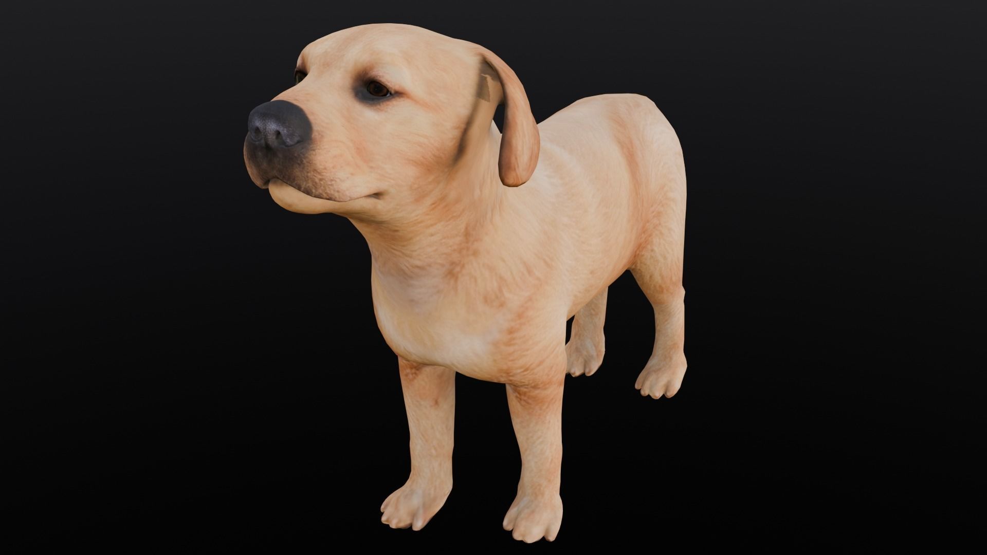 Puppy Animated Rigged Low-poly 3D model_1